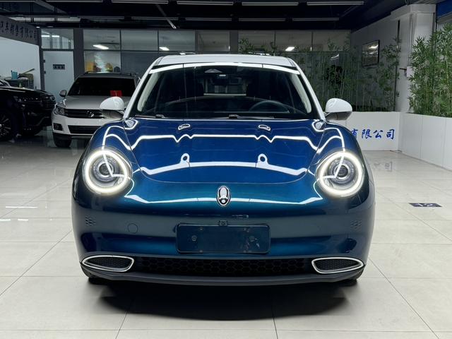 欧拉好猫 2021款 500km长续航 阿波罗版 三元锂电池